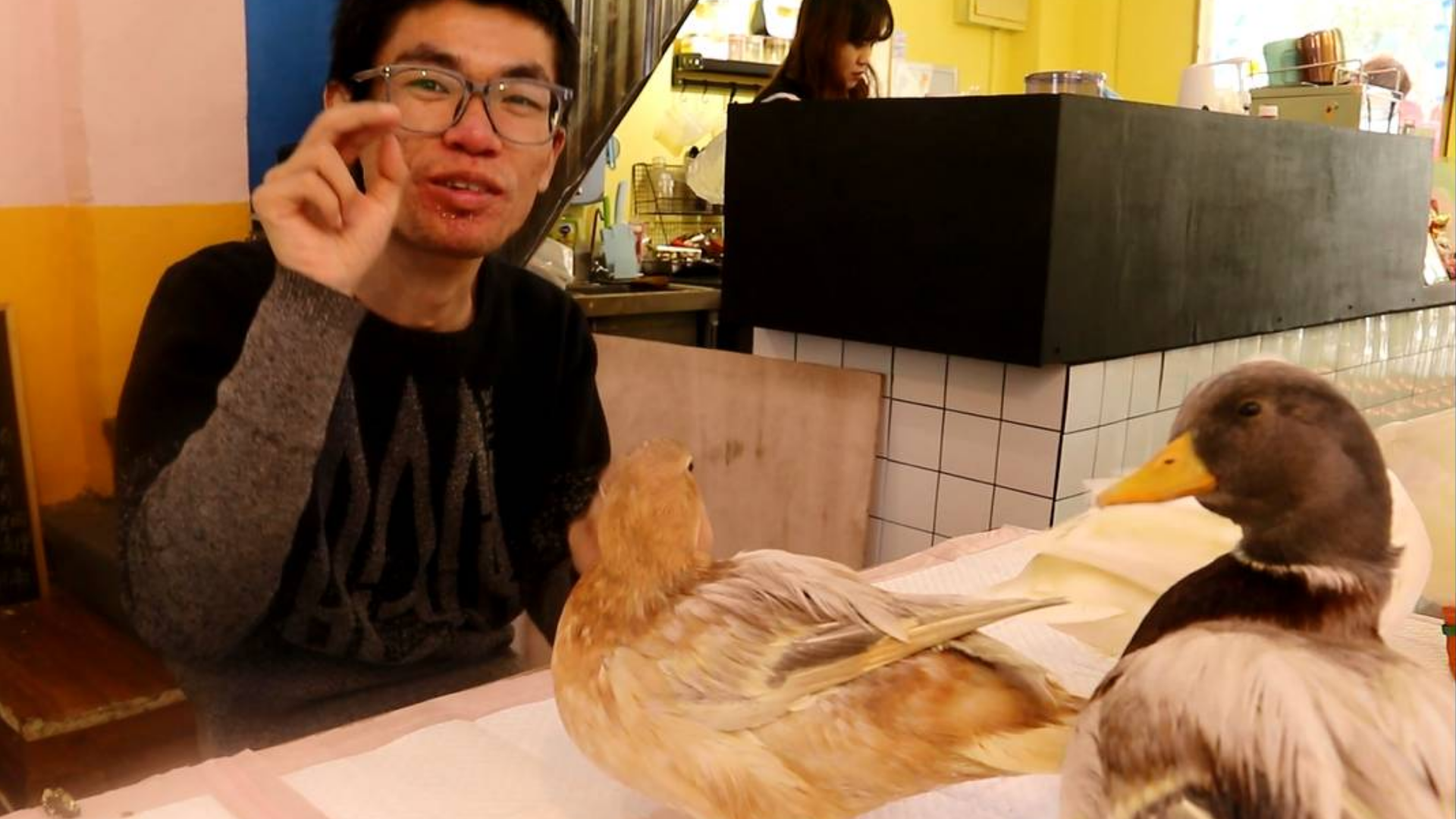 王思聪同款“网红鸭”,价值12000元一对,体验富人生活